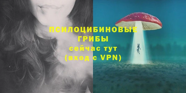 мяу мяу мука Заводоуковск